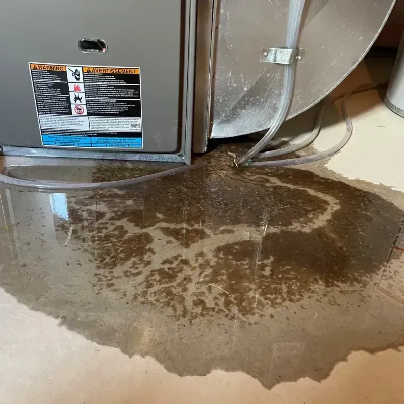 Appliance Leak Cleanup in Shasta County, CA